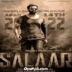 Salaar Hindi Title Song-
